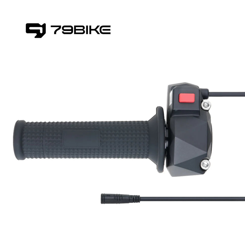 79Bikes Throttle