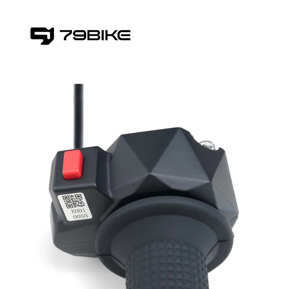 79Bikes Throttle