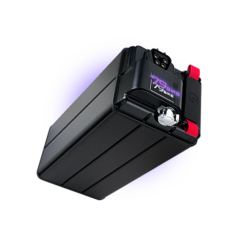 79Bikes Falcon Pro - Black